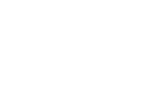 Finesse | Approval Icon | Cupra