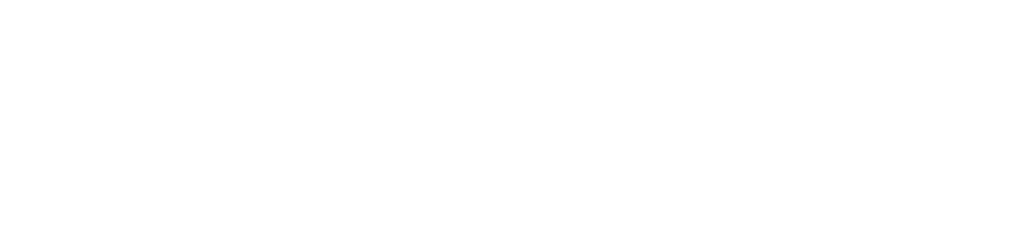 Finesse Logo